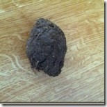 boudin de terre
