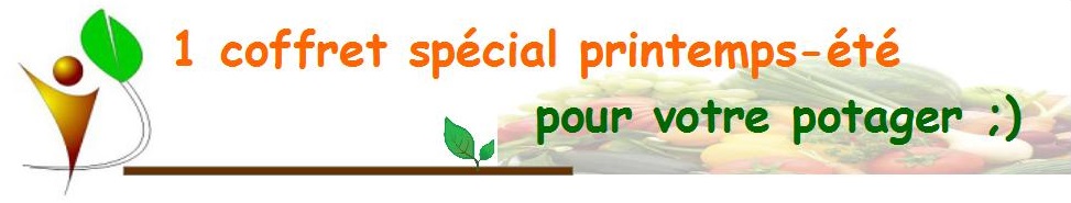 Au potager bio – Conseils pour votre potager biologique