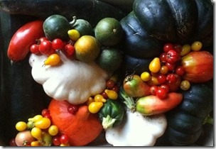 délicieuse-récoltes-de-fruits-et-légumes1