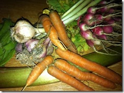 variété de carotte
