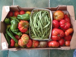 tomate du jardin