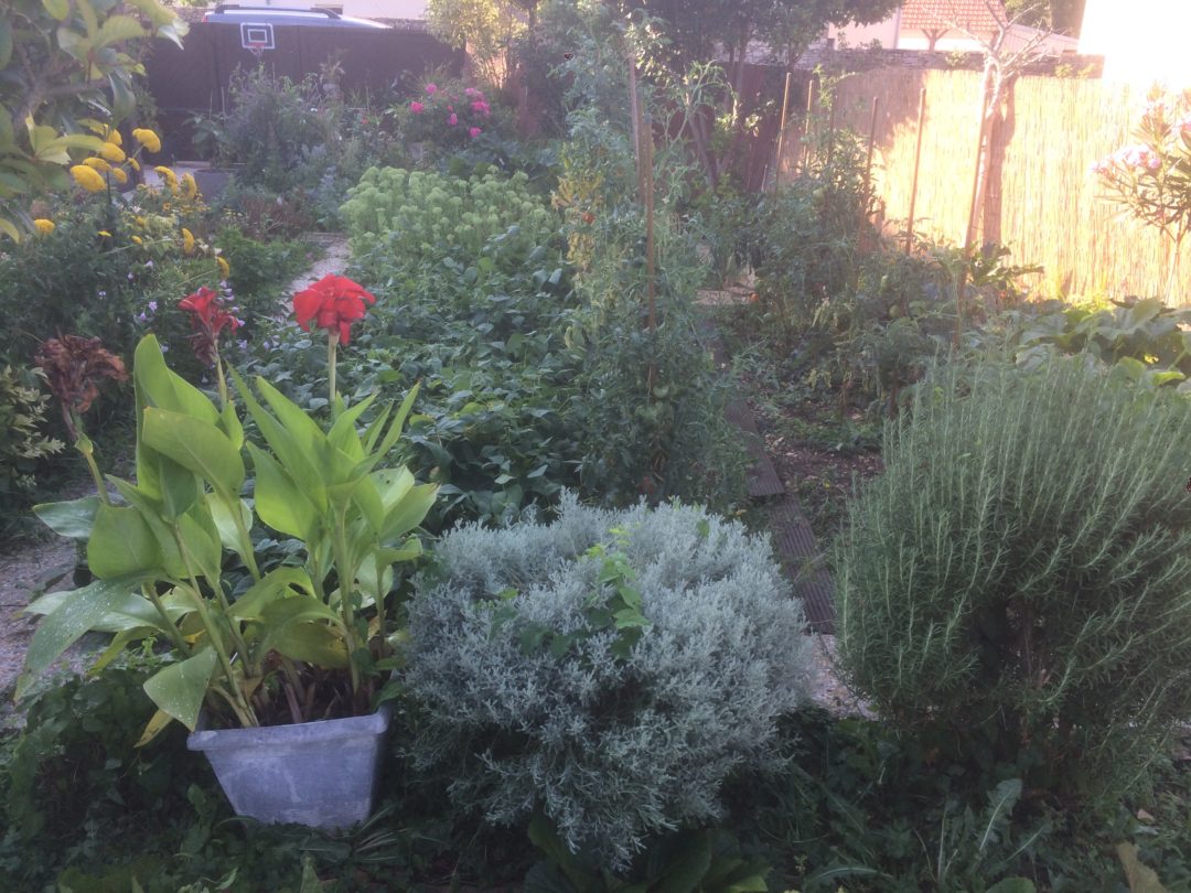 Jardiner Malin Avec Un Jardin Diversifié - Au Potager Bio