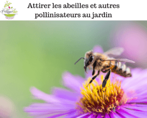 Attirer les abeilles au jardin et autres pollinisateurs