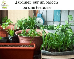 jardiner sur un balcon ou terrasse