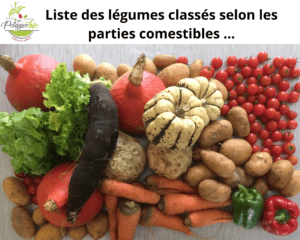 Les parties comestibles des plantes et classification des légumes
