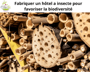 hôtel à insecte 