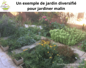 jardiner malin 