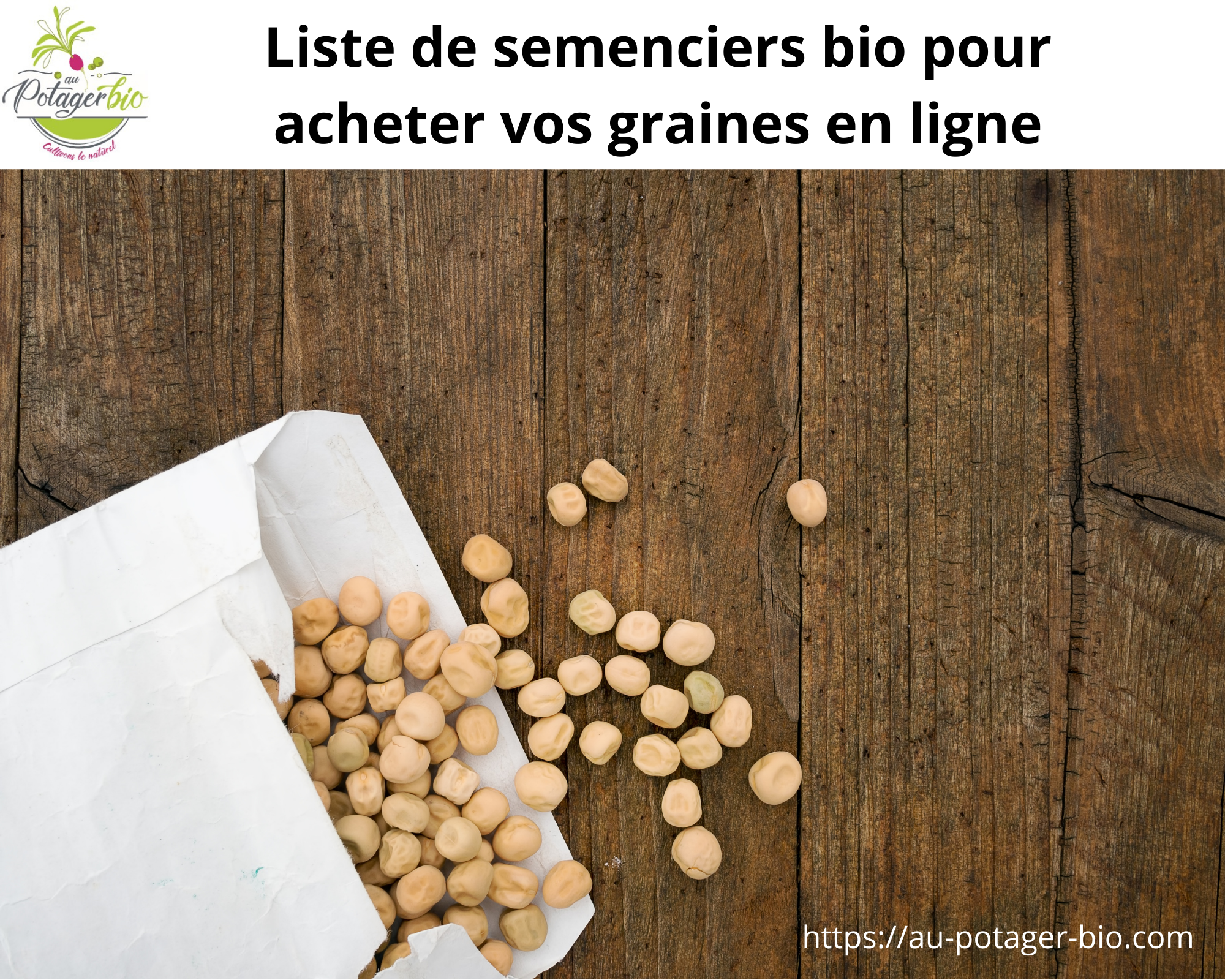 500 graines BIO OnionDensity 5 semences certifiées biologiques 