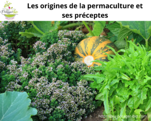 Origine de la permaculture et ses précurseurs