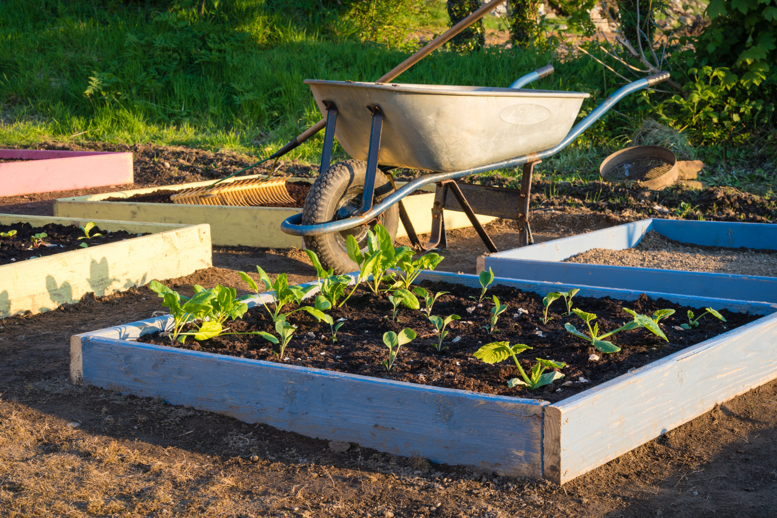 Permaculture : trois méthodes innovantes pour cultiver un jardin potager  luxuriant et abondant - NeozOne