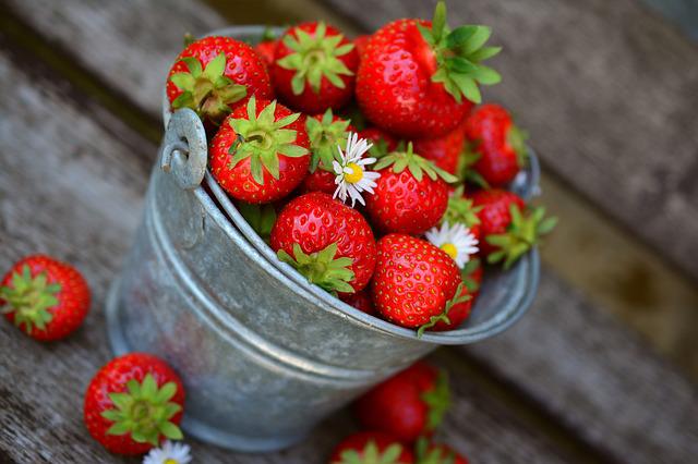La fraise, un excellent fruit à cultiver sous serre