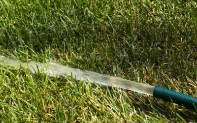 Les 3 clés pour économiser l’eau au jardin