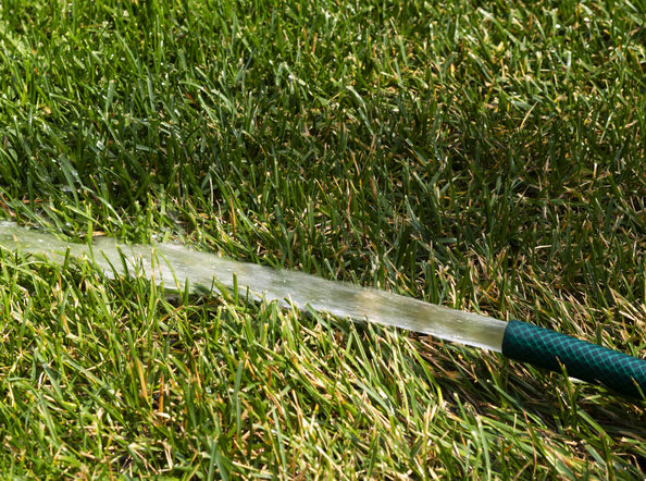 Les 3 clés pour économiser l’eau au jardin