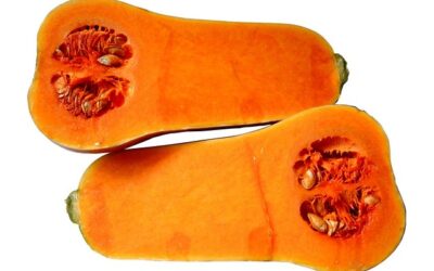 Butternut : du potager à l’assiette