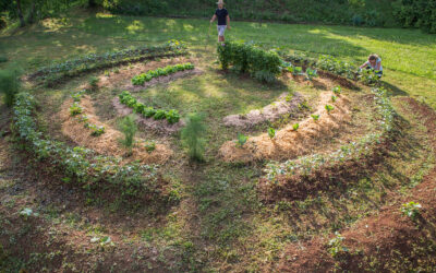 Tenter la technique de la butte en permaculture