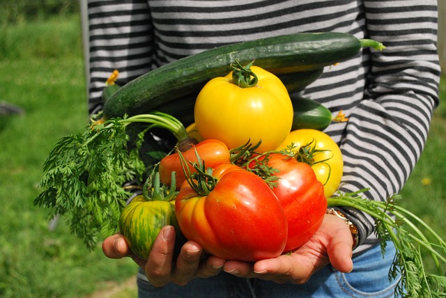 Cultiver des tomates en butte permaculture