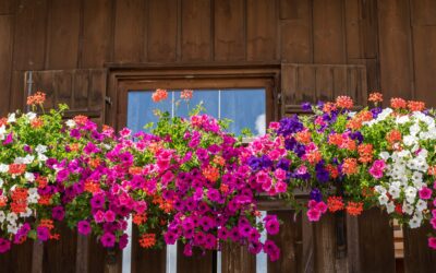 Comment avoir un balcon fleuri tout l’été ?