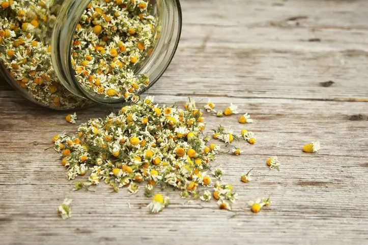 Fleurs de camomille séchées renversées d'un bocal en verre sur une table en bois.