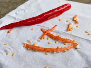 Un piment rouge coupé en longueur, avec des morceaux de chair et des graines dispersés sur une serviette blanche.