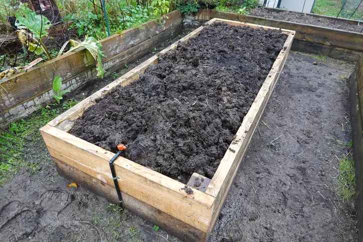 Un lit de jardin surélevé rempli de terre fraîchement préparée pour protéger les légumes