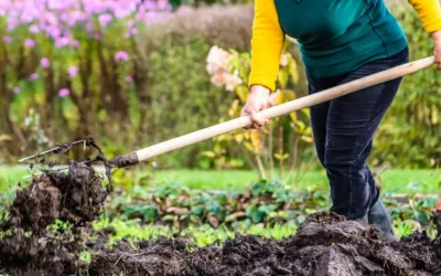 Comment anticiper les cultures et préparer le potager pour le printemps ?