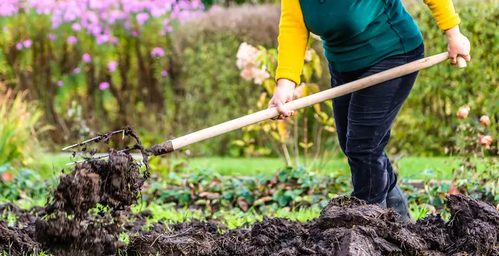 Comment anticiper les cultures et préparer le potager pour le printemps ?