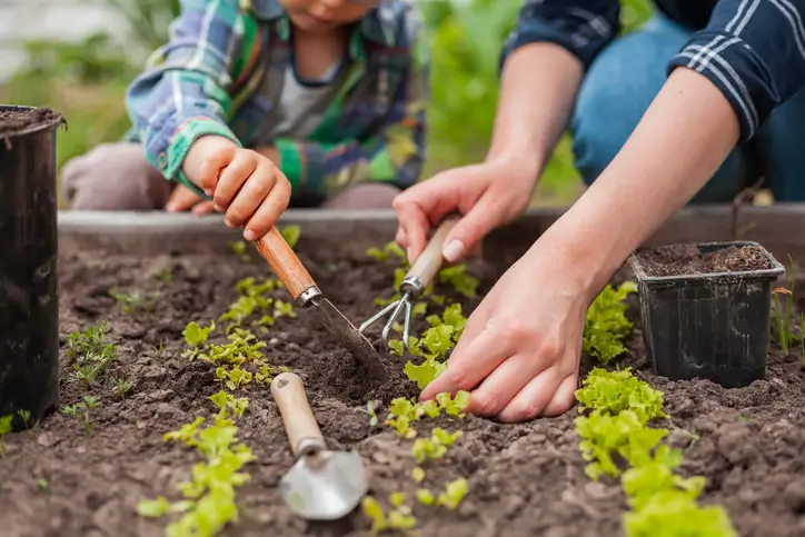 enfant et sa maman dans le carré potager