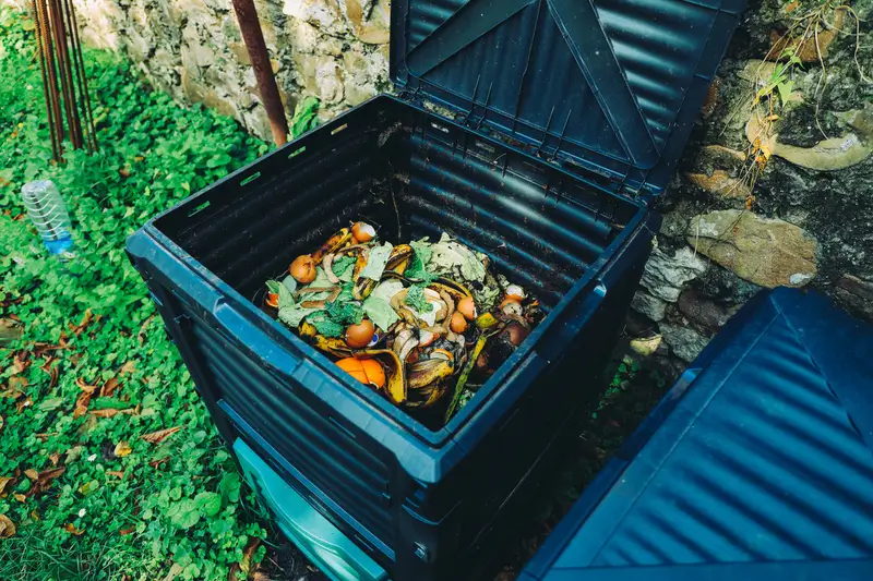 Un composteur en plastique noir ouvert, contenant des épluchures de fruits et légumes en cours de décomposition, posé sur une pelouse.