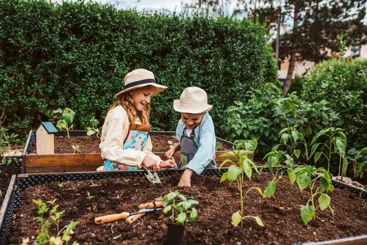 Enfants qui cultivent au carré potager