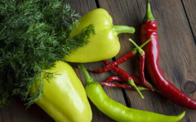 Comment bien repiquer ses poivrons et piments au potager