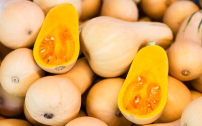 Tout savoir sur la culture de la courge butternut