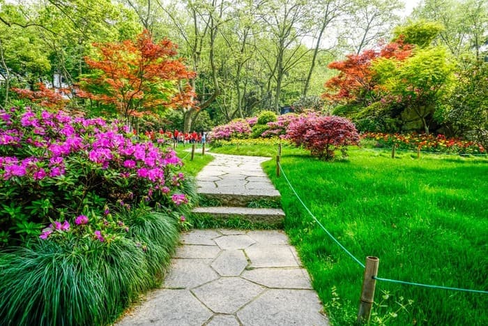 Quelles plantes absorbent l'eau du sol : les meilleures astuces pour un  jardin humide